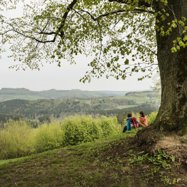 Auf dem Ansberg unter altem Lindenbaum mit Blick auf den Staffelberg. Foto: Andreas Hub