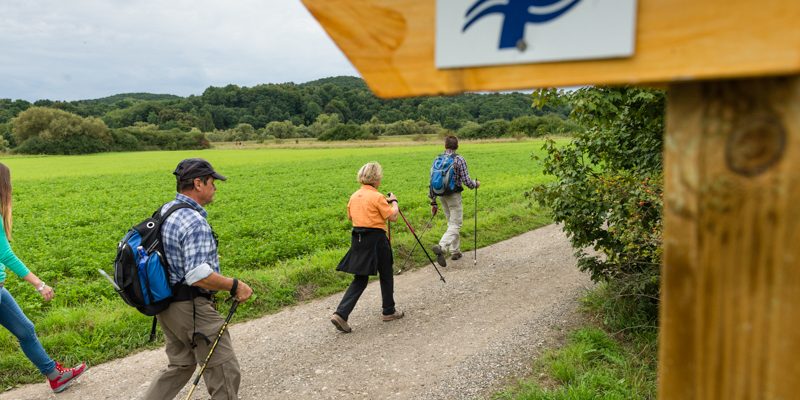 Auf dem Sieben-Flüsse-Wanderweg im Maintal zwischen Hallstadt und Kemmern. Foto: Andreas Hub Auf dem Sieben-Flüsse-Wanderweg im Maintal zwischen Hallstadt und Kemmern. Foto: Andreas Hub