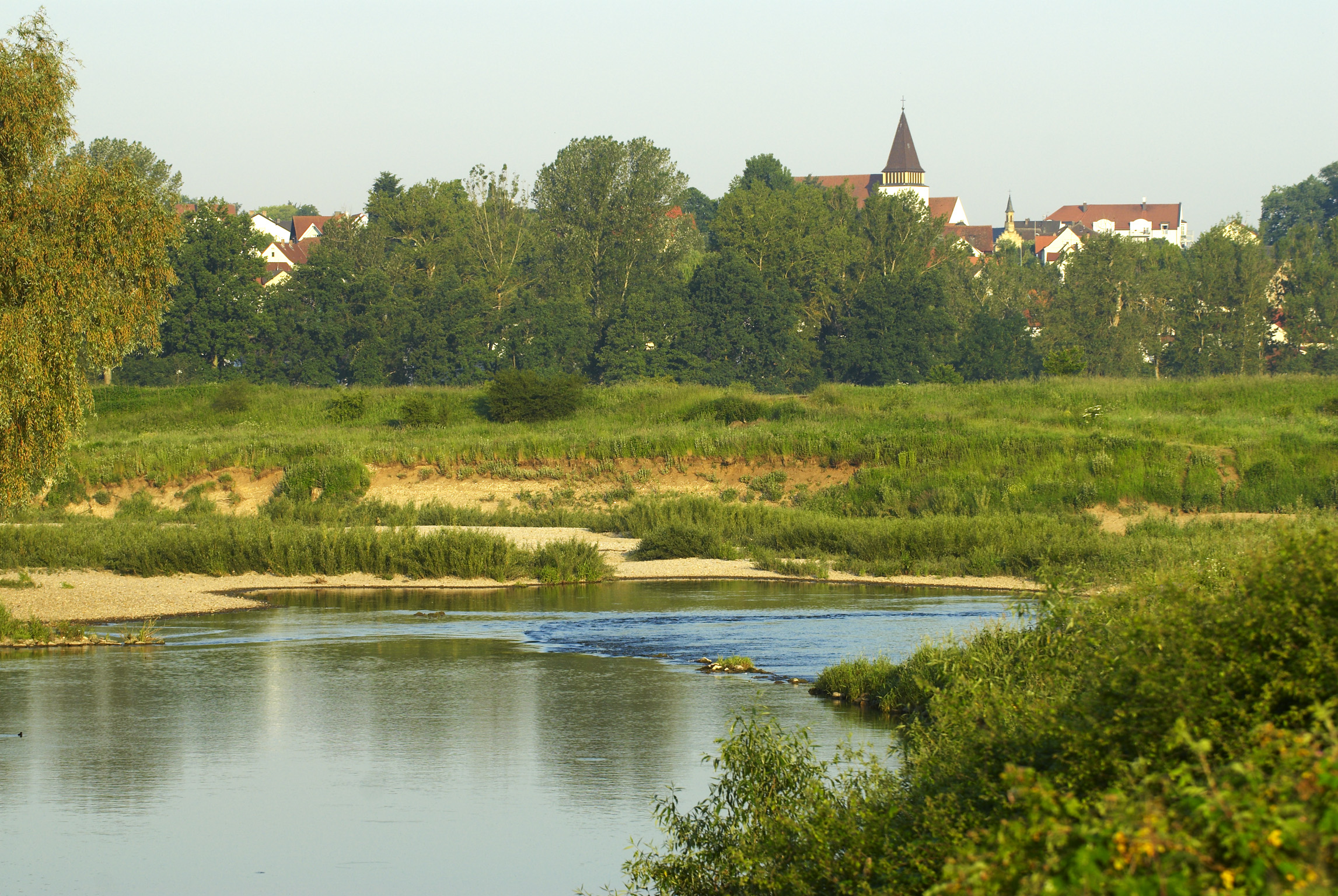 Sand- und Kiesinseln der naturnah gestalteten Regnitz bei Sassanfahrt. Foto: Andreas Hub