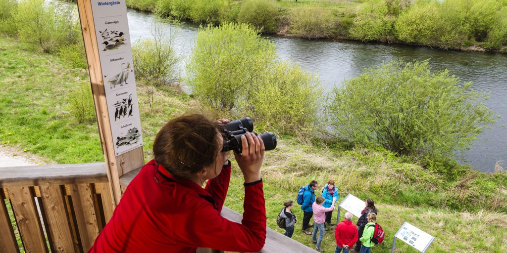 Vogelbeobachtung vom Life-Natur-Aussichtsturm an der Mainschleife Unterbrunn. Foto: Andreas Hub Vogelbeobachtung vom Life-Natur-Aussichtsturm an der Mainschleife Unterbrunn. Foto: Andreas Hub