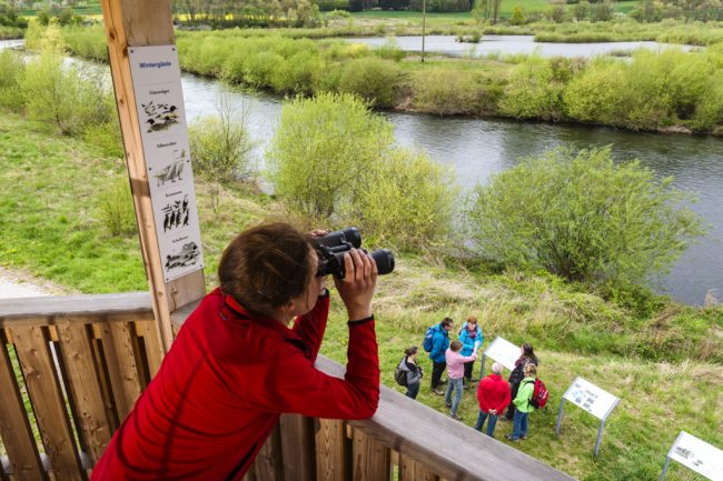 Vogelbeobachtung vom Life-Natur-Aussichtsturm an der Mainschleife Unterbrunn. Foto: Andreas Hub Vogelbeobachtung vom Life-Natur-Aussichtsturm an der Mainschleife Unterbrunn. Foto: Andreas Hub