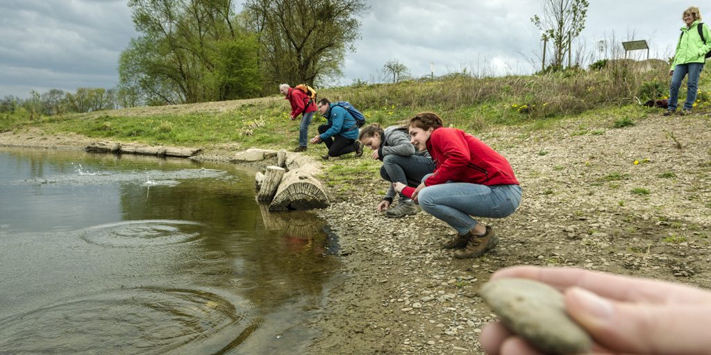 Kieselstein flippen an der neuen Mainschleife bei Unterbrunn. Foto: Andreas Hub Kieselstein flippen an der neuen Mainschleife bei Unterbrunn. Foto: Andreas Hub