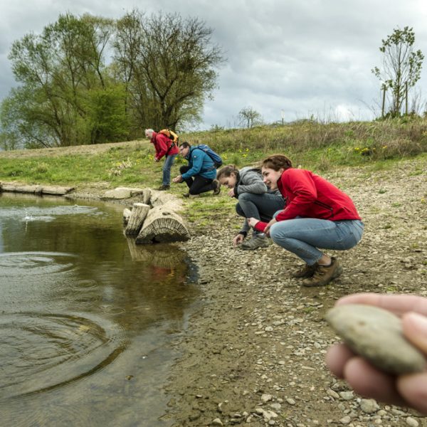 Kieselstein flippen an der neuen Mainschleife bei Unterbrunn. Foto: Andreas Hub