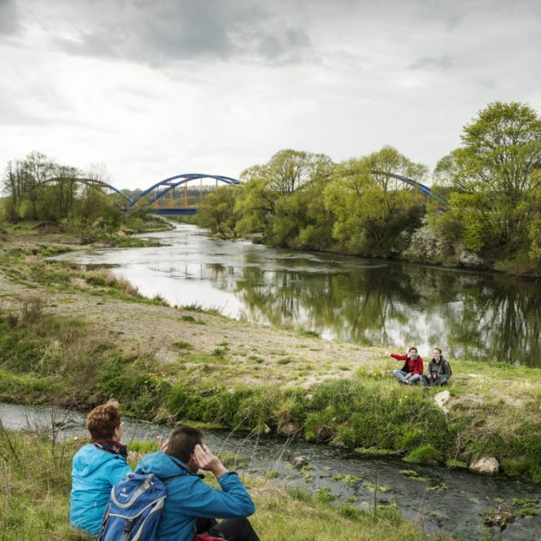 Renaturierter Main an der ICE-Brücke bei Wiesen (Bad Staffelstein, Lkr. Lichtenfels)