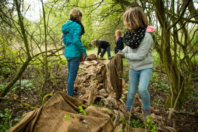 Kinder und Jugendliche bei der Aktion "Sauberer Main" in Kemmern. Foto: Thomas Ochs