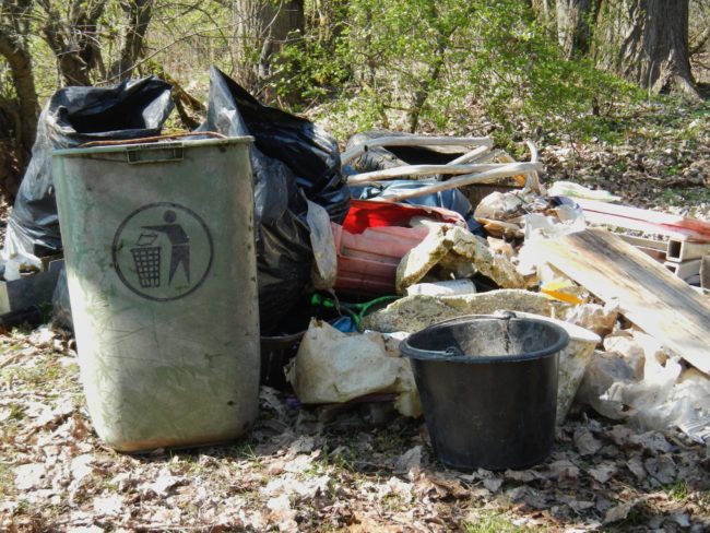 Gesammelter Müll. Foto:BFC/Flussparadies Franken