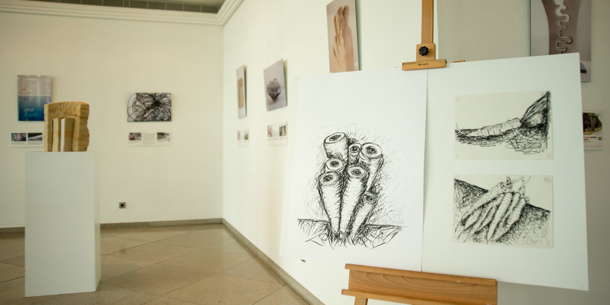 Blick auf die Entwürfe und Modelle. Foto: Thomas Ochs