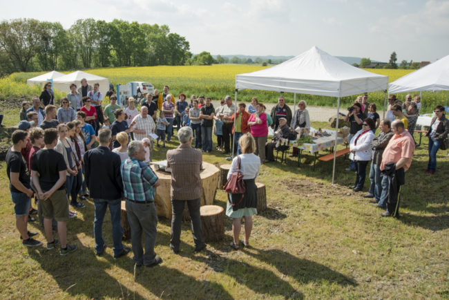 Mainerlebnistag 2015. Foto: Thomas Ochs Mainerlebnistag 2015. Foto: Thomas Ochs