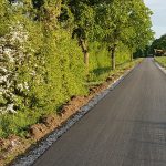 2018 neu geteerter Radweg zwischen Strullendorf und Bamberg. Foto: Jochen Strauß