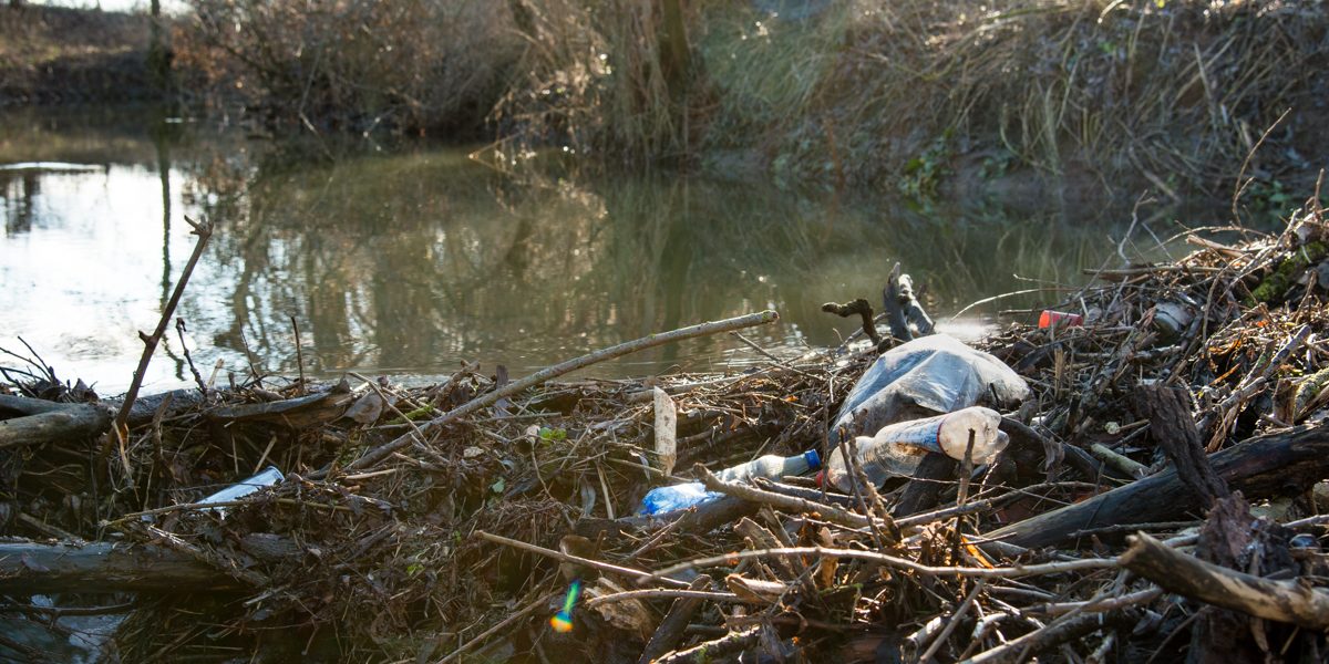 Müll im Leitenbach bei Kemmern 2019. Foto: Thomas Ochs Müll im Leitenbach bei Kemmern 2019. Foto: Thomas Ochs