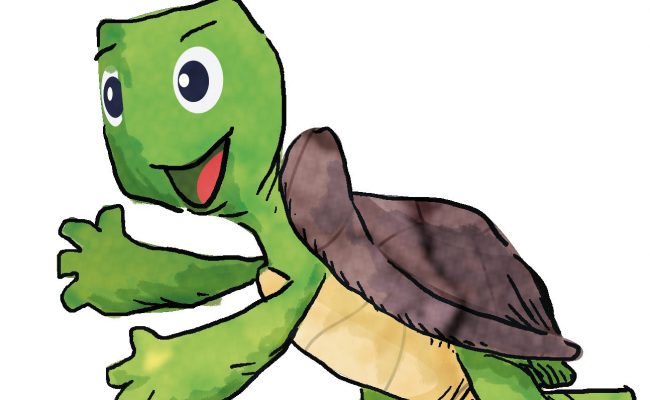 Gezeichnete Schildkröte. Grafik: artedge Bamberg