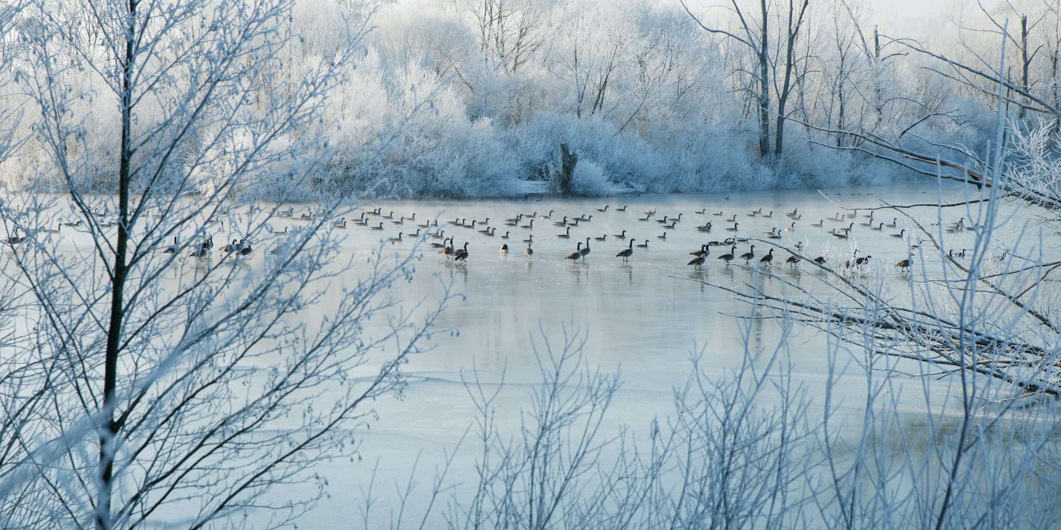 Winter im Maintal. Foto: Thomas Ochs