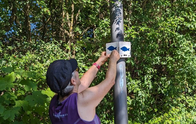 Auf speziellen Trägerplatten gut sichbar montiert markiert der „Blauer Karpfen“ den neuen Rundweg zwischen Hirschaid, Schlüsselau und Altendorf. Foto: FSV Berbalk