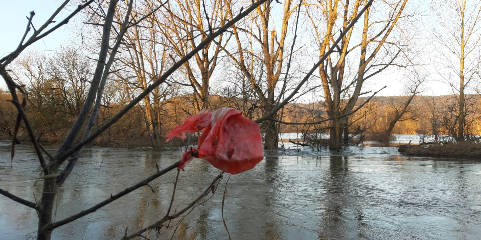 Das Januar-Hochwasser 2024 hat auch am Main viel Müll mitgebracht. Er wurde auf überschwemmten Bereichen mitgerissen oder mit dem Regen von Wegen und über Gräben in die Flüsse gespült. Foto: Anne Schmitt/Flussparadies Franken.