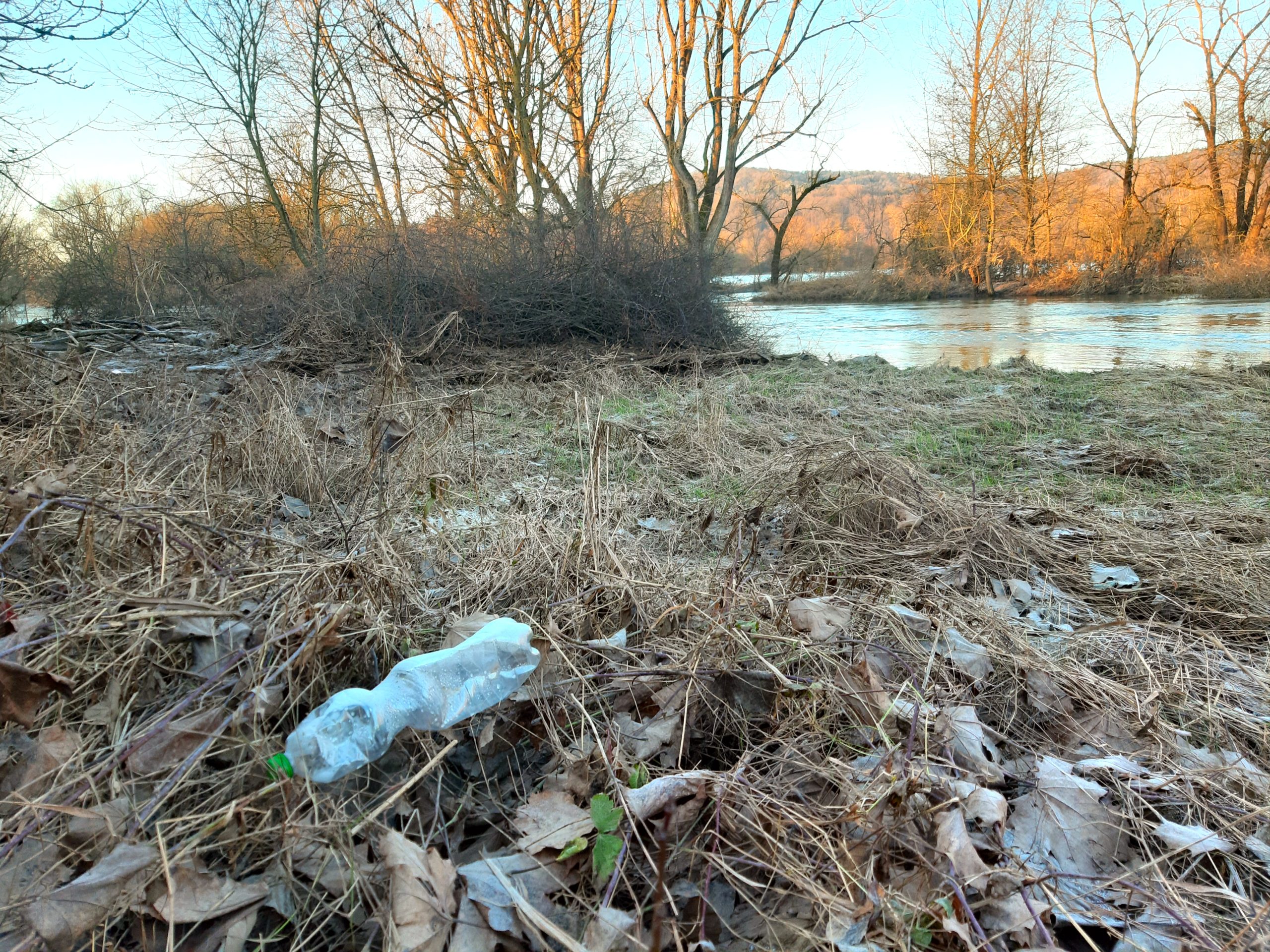 Mit dem Hochwasser im Januar 2024 angeschwemmte Plastikflasche am Main bei Kemmern. Foto: A. Schmitt