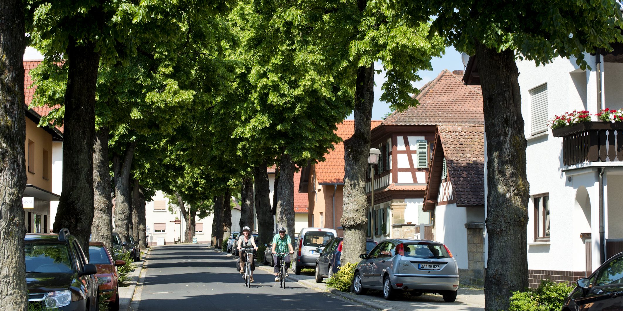 Die Bäume der Lindenallee in Strullendorf sind 1926 zum Gedenken an die gefallenen Soldaten des 1. Weltkriegs gepflanzt worden. Foto: A. Hub/Flussparadies Franken
