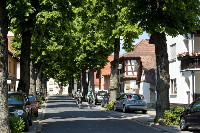 Die Bäume der Lindenallee in Strullendorf sind 1926 zum Gedenken an die gefallenen Soldaten des 1. Weltkriegs gepflanzt worden. Foto: A. Hub/Flussparadies Franken Die Bäume der Lindenallee in Strullendorf sind 1926 zum Gedenken an die gefallenen Soldaten des 1. Weltkriegs gepflanzt worden. Foto: A. Hub/Flussparadies Franken