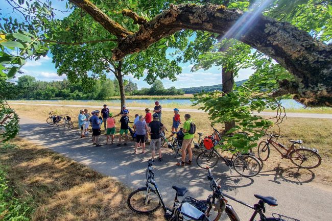 Radgruppe an der Rentnerruh am Main-Donau-Kanal zwischen Strullendorf und Bamberg. Foto: M. Hammrich Radgruppe an der Rentnerruh am Main-Donau-Kanal zwischen Strullendorf und Bamberg. Foto: M. Hammrich