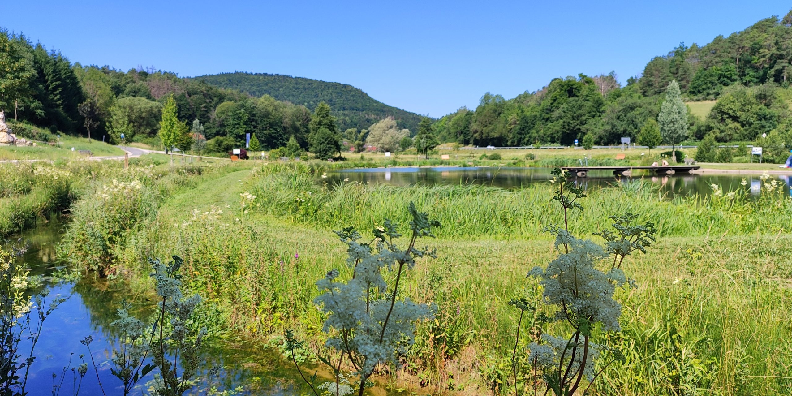 Der idyllisch gelegene Heiligenstadter See zwischen dem Mühlbach und der Leinleiter am Ortsrand von Heiligenstadt i.OFr. (Lkr. Bamberg) in der Fränkischen Schweiz. Foto: Flussparadies Franken. Der idyllisch gelegene Heiligenstadter See zwischen dem Mühlbach und der Leinleiter am Ortsrand von Heiligenstadt i.OFr. (Lkr. Bamberg) in der Fränkischen Schweiz. Foto: Flussparadies Franken.