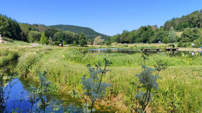 Der idyllisch gelegene Heiligenstadter See zwischen dem Mühlbach und der Leinleiter am Ortsrand von Heiligenstadt i.OFr. (Lkr. Bamberg) in der Fränkischen Schweiz. Foto: Flussparadies Franken.