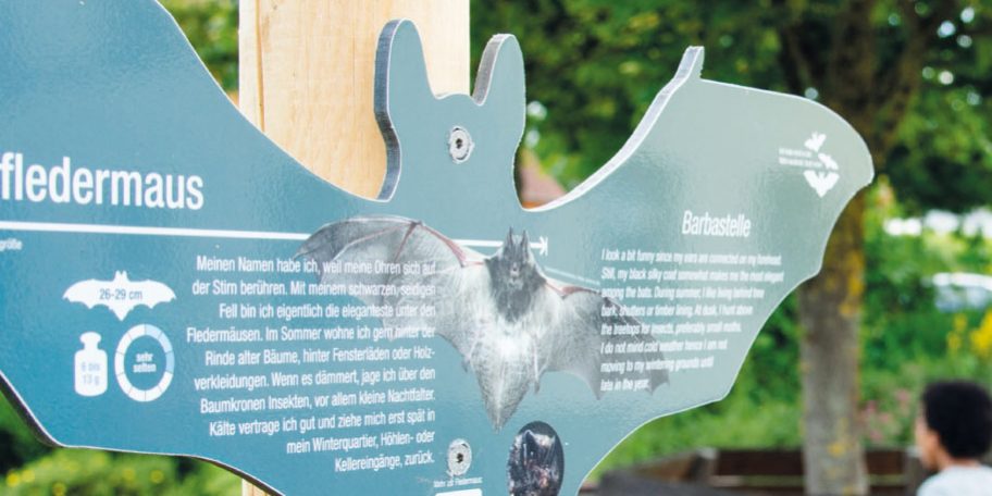 Faltblatt „Fledermausweg Viereth-Unterhaid“ (2025). Herausgeber: Flussparadies Franken e. V. Faltblatt "Fledermausweg Viereth-Unterhaid" (2025). Herausgeber: Flussparadies Franken e. V.