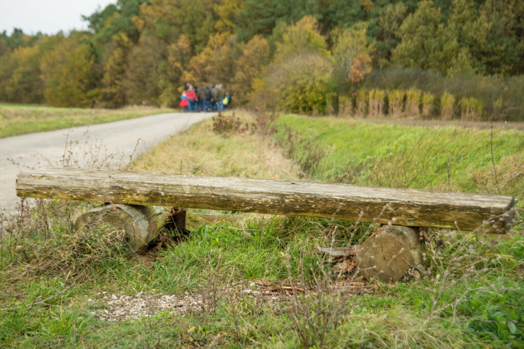 Der Karpfenweg führt durch die für die Ausläufer des Steigerwaldes typische fränkische Hügellandschaft. Zwischen den Feldern liegen kleineren Waldstücke. Foto: Thomas Ochs