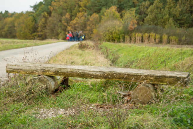 Der Karpfenweg führt durch die für die Ausläufer des Steigerwaldes typische fränkische Hügellandschaft. Zwischen den Feldern liegen kleineren Waldstücke. Foto: Thomas Ochs Der Karpfenweg führt durch die für die Ausläufer des Steigerwaldes typische fränkische Hügellandschaft. Zwischen den Feldern liegen kleineren Waldstücke. Foto: Thomas Ochs