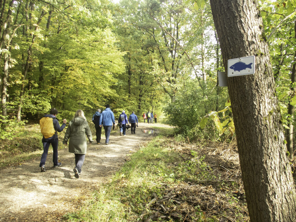 Wandergruppe auf Waldweg mit Markierungszeichen Karpfen blau an einem Baum. Foto: Anne Schmitt