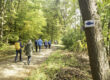 Wandergruppe auf Waldweg mit Markierungszeichen Karpfen blau an einem Baum. Foto: Anne Schmitt