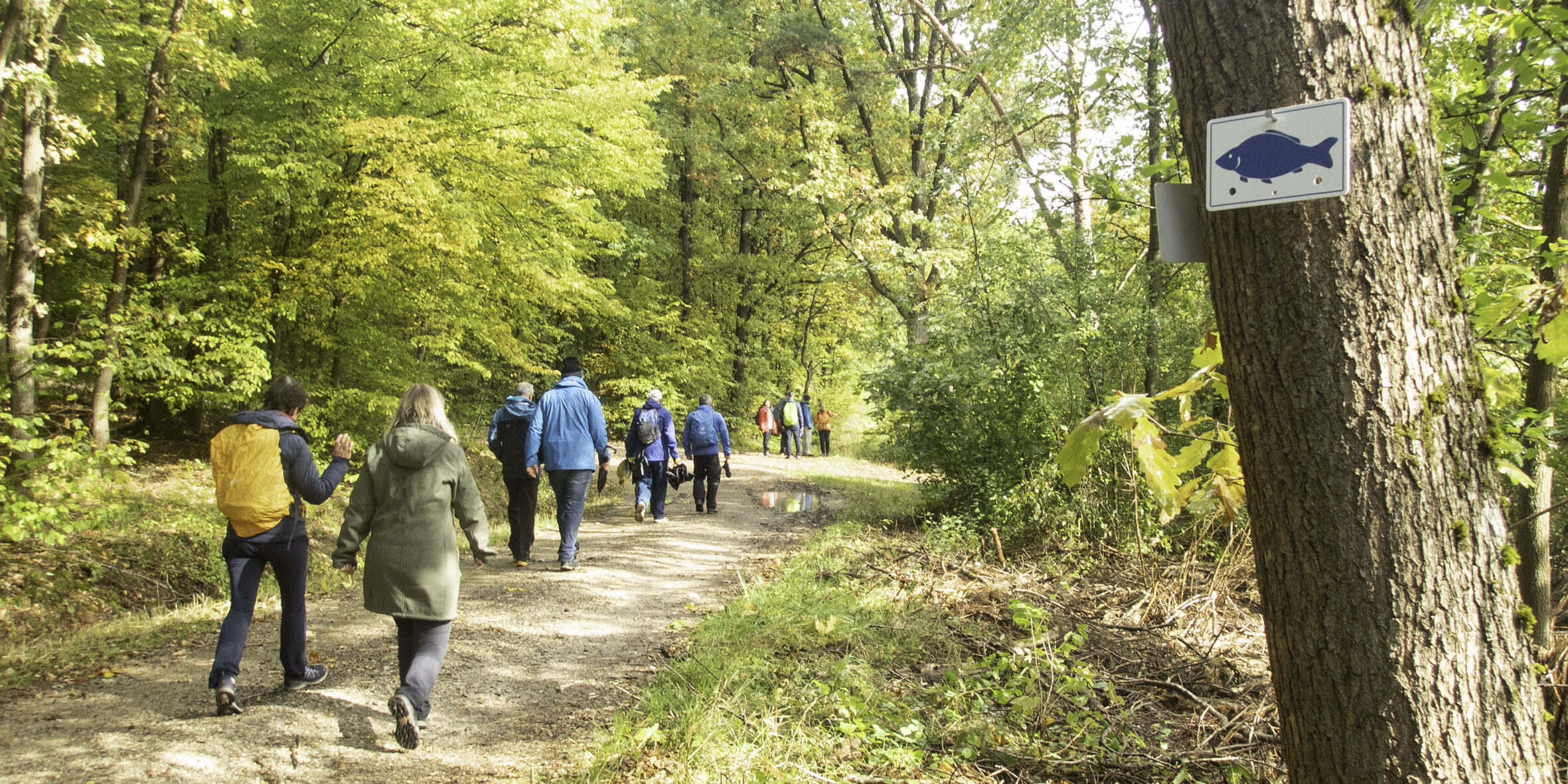 Wandergruppe auf Waldweg mit Markierungszeichen Karpfen blau an einem Baum. Foto: Anne Schmitt