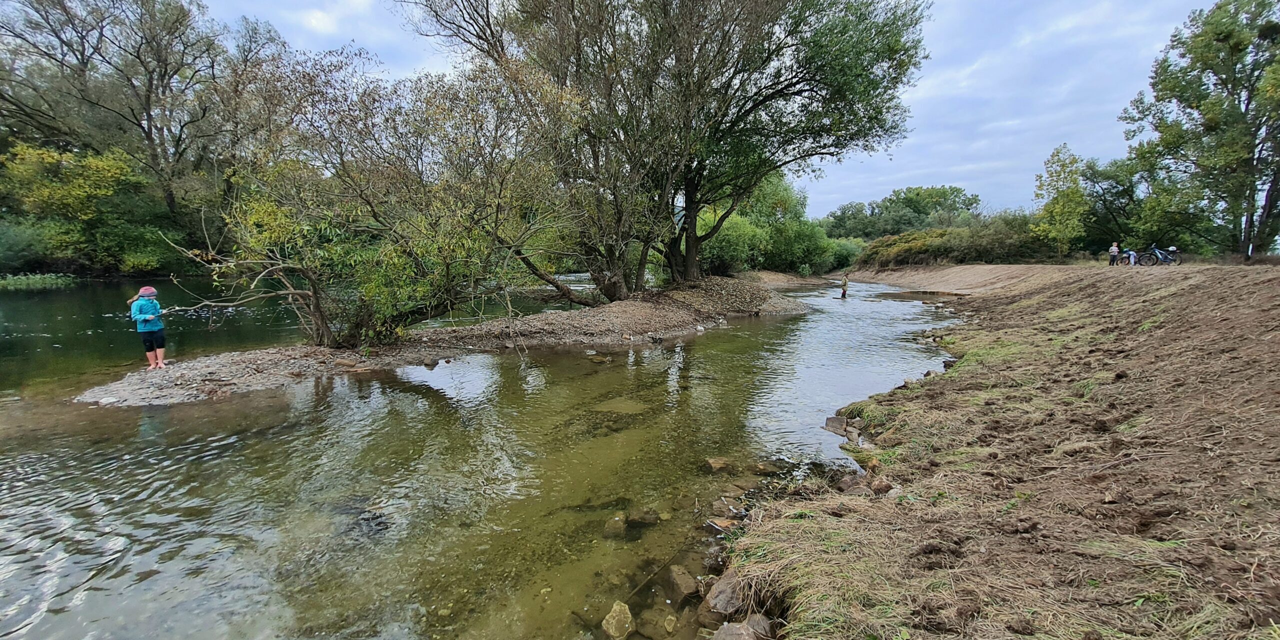 Die Renaturierung von Flüssen, wie hier vom Wasserwirtschaftsamt Kronach am Main bei Kemmern 2021 umgesetzt, schafft Lebensraum für Tiere und Pflanzen und dient der wohnortnahen Erholung. Foto: Thomas Ochs