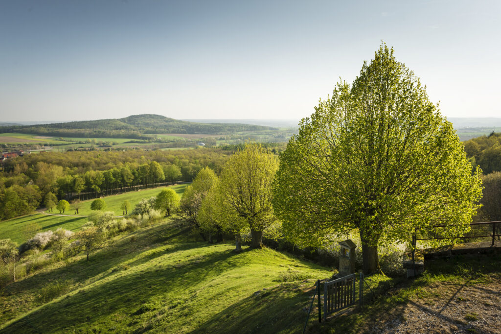 Herrliche Talblicke bietet der Sieben-Flüsse-Wanderweg vom Senftenberg bei Buttenheim (Lkr. Bamberg) aus. Foto: Andreas Hub/Flussparadies Franken