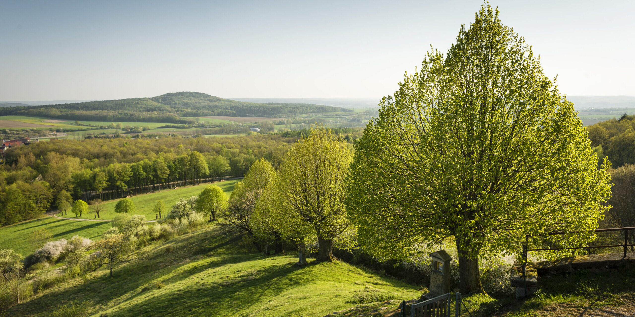 Herrliche Talblicke bietet der Sieben-Flüsse-Wanderweg vom Senftenberg bei Buttenheim (Lkr. Bamberg) aus. Foto: Andreas Hub/Flussparadies Franken