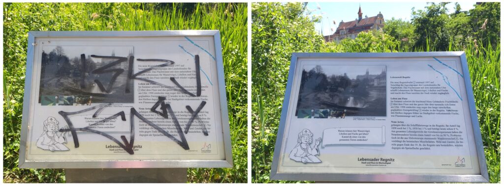 Flusspfad Tafel zur Lebenswelt Regnitz vor und nach der jährlichen Reinigung. Foto: Flussparadies Franken