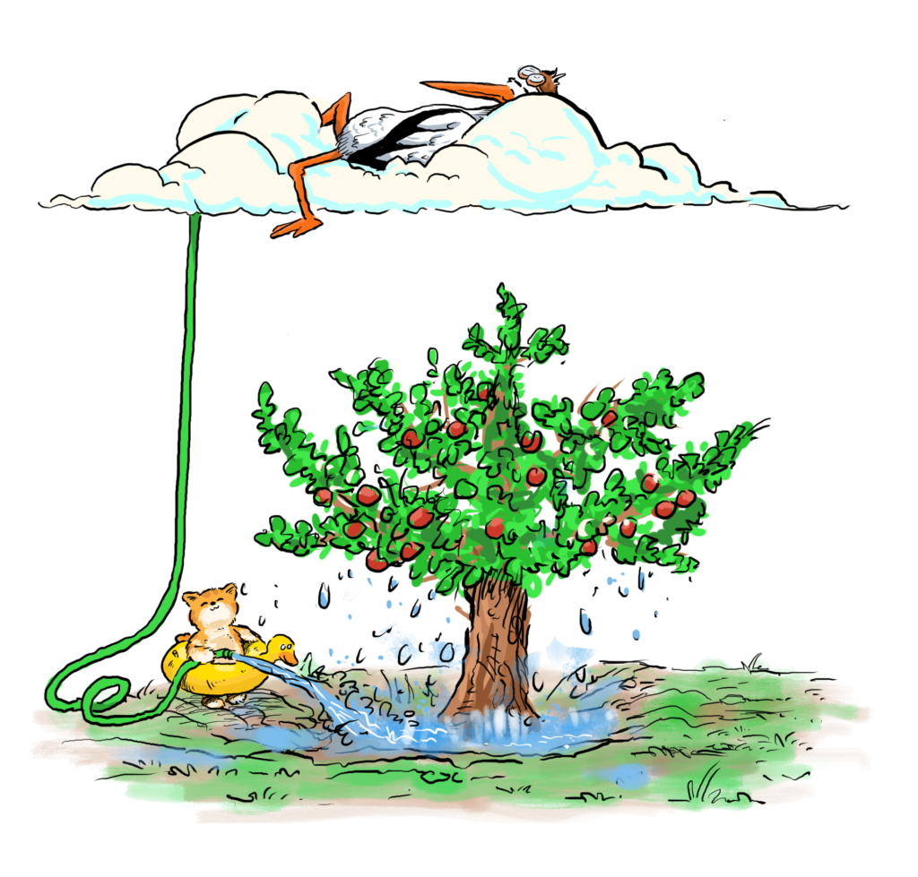 Regenfest Heinershof 2026. Quelle: Heinershof e. V.