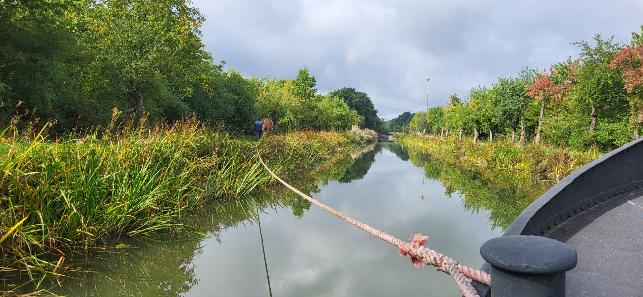 Treideln_am_Ludwigskanal_Schwarzenbach_ChristineRiel Still und gemächlich zieht das Kaltblutpferd Fritz das Treidelschiff Elfriede bei Schwarzenbach (Burgthann/Lkr. Nürnberger Land) den Ludwig-Donau-Main-Kanal entlang. Die Ufer des Kanals sind von Apfelbäumen gesäumt. Foto: Christine Riel.