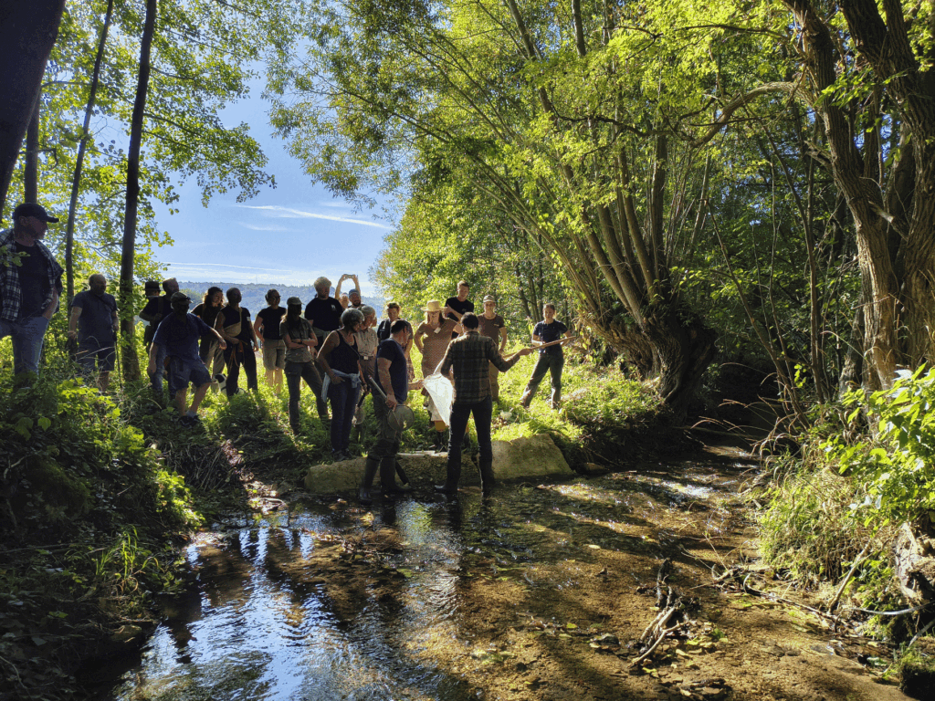 Die Döberten bei Bad Staffelstein (Lkr. Lichtenfels) als gutes Beispiel. Der Bach kann wieder frei fließen und die Fische können ungehindert schwimmen. Nur noch ein paar große Sandsteine am Ufer deuten darauf hin, dass es hier vor kurzem noch ganz anders aussah. Dr. Carolin Lang-Groß vom Landschaftspflegeverband Lichtenfels hat an der Döberten bei Stublang (Bad Staffelstein/Lkr. Lichtenfels) im Auftrag der Stadt Bad Staffelstein mehrere nicht mehr benötigte Wehre zurück gebaut. © Foto: Sonja Greimel WWF.