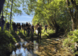 Die Döberten bei Bad Staffelstein (Lkr. Lichtenfels) als gutes Beispiel. Der Bach kann wieder frei fließen und die Fische können ungehindert schwimmen. Nur noch ein paar große Sandsteine am Ufer deuten darauf hin, dass es hier vor kurzem noch ganz anders aussah. Dr. Carolin Lang-Groß vom Landschaftspflegeverband Lichtenfels hat an der Döberten bei Stublang (Bad Staffelstein/Lkr. Lichtenfels) im Auftrag der Stadt Bad Staffelstein mehrere nicht mehr benötigte Wehre zurück gebaut. © Foto: Sonja Greimel WWF.