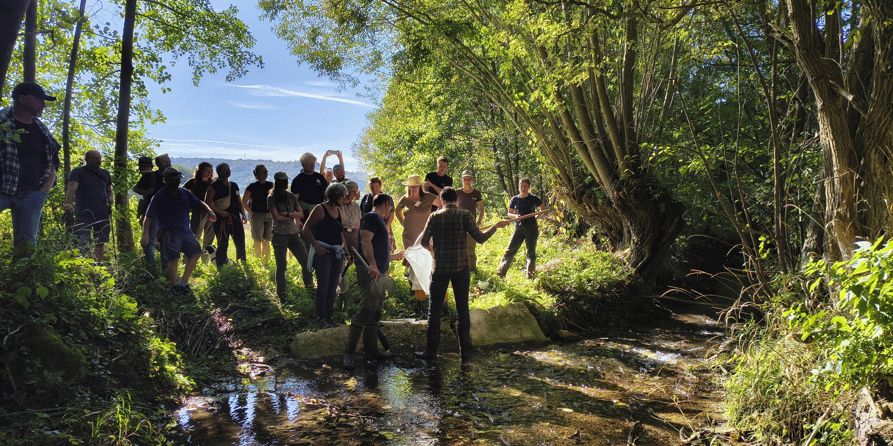Die Döberten bei Bad Staffelstein (Lkr. Lichtenfels) als gutes Beispiel. Der Bach kann wieder frei fließen und die Fische können ungehindert schwimmen. Nur noch ein paar große Sandsteine am Ufer deuten darauf hin, dass es hier vor kurzem noch ganz anders aussah. Dr. Carolin Lang-Groß vom Landschaftspflegeverband Lichtenfels hat an der Döberten bei Stublang (Bad Staffelstein/Lkr. Lichtenfels) im Auftrag der Stadt Bad Staffelstein mehrere nicht mehr benötigte Wehre zurück gebaut. © Foto: Sonja Greimel WWF. Die Döberten bei Bad Staffelstein (Lkr. Lichtenfels) als gutes Beispiel. Der Bach kann wieder frei fließen und die Fische können ungehindert schwimmen. Nur noch ein paar große Sandsteine am Ufer deuten darauf hin, dass es hier vor kurzem noch ganz anders aussah. Dr. Carolin Lang-Groß vom Landschaftspflegeverband Lichtenfels hat an der Döberten bei Stublang (Bad Staffelstein/Lkr. Lichtenfels) im Auftrag der Stadt Bad Staffelstein mehrere nicht mehr benötigte Wehre zurück gebaut. © Foto: Sonja Greimel WWF.