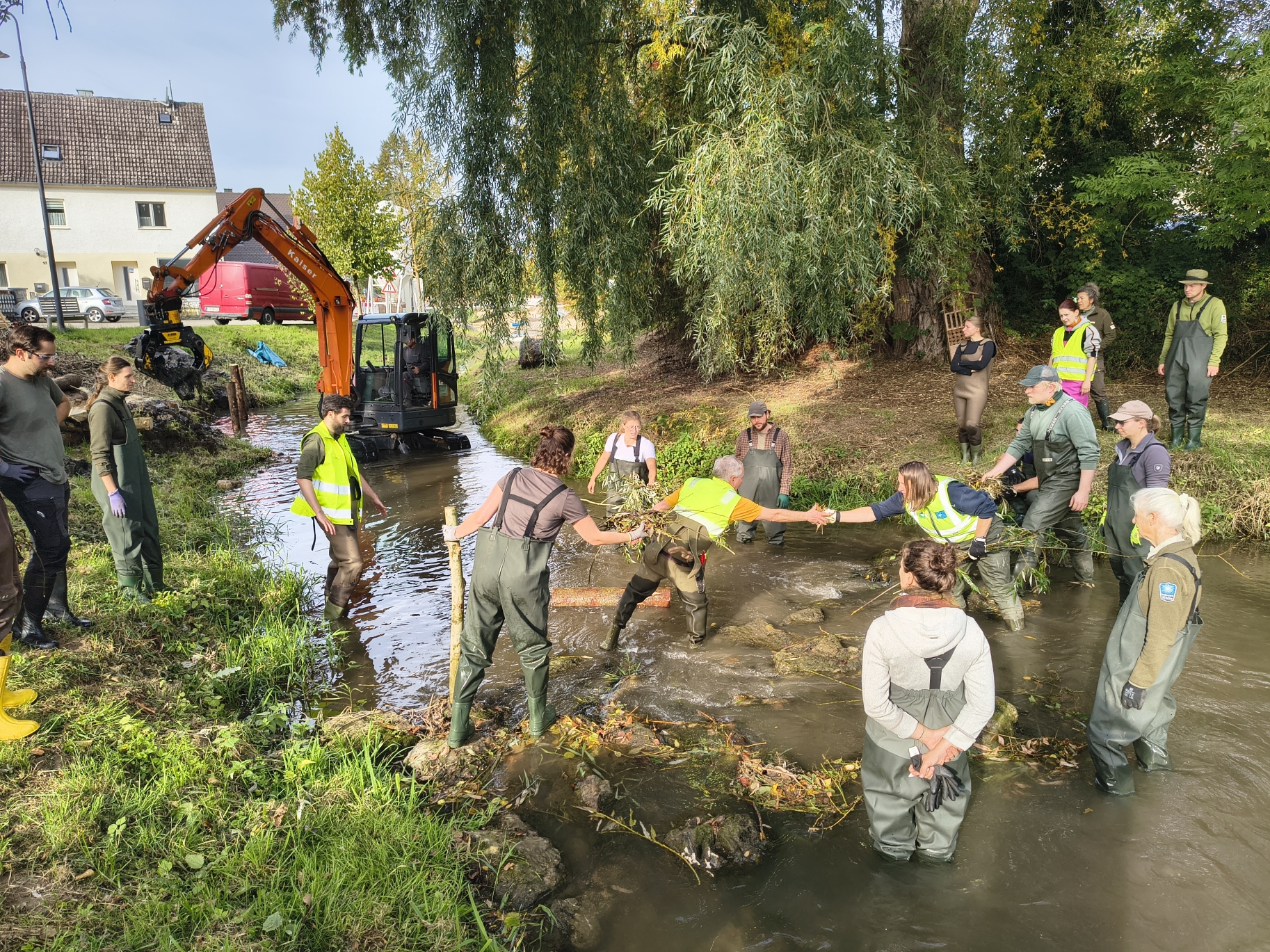 Am Leitenbach in Gundelsheim (Lkr. Bamberg) wurden ingenieurbiologische Methoden zur Gewässerverbesserung und Ufersicherung gelernt. Weiden, Erlen und Wasserschneeball werden das Gewässer beschatten und für Strukturvielfalt sorgen. Die Wurzeln der Schwarzerle wachsen in den Fluss hinein, stabilisieren die Ufer, reinigen das Gewässer und bieten Lebensraum für kleine Wasserorganismen und Fische. Foto Sonja Greimel WWF Am Leitenbach in Gundelsheim (Lkr. Bamberg) wurden ingenieurbiologische Methoden zur Gewässerverbesserung und Ufersicherung gelernt. Weiden, Erlen und Wasserschneeball werden das Gewässer beschatten und für Strukturvielfalt sorgen. Die Wurzeln der Schwarzerle wachsen in den Fluss hinein, stabilisieren die Ufer, reinigen das Gewässer und bieten Lebensraum für kleine Wasserorganismen und Fische. Foto Sonja Greimel WWF